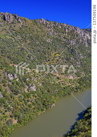 Mirador del Duero Viewpoint Walking Route, Spain Mirador del Duero Viewpoint Walking Route, Spain 137509198