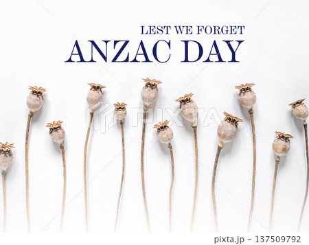 Dry poppies with bold ANZAC DAY text Dry poppies with bold ANZAC DAY text 137509792