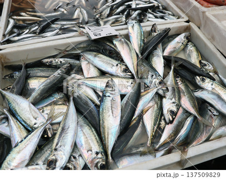 Freshly Caught Fish in Market Crates Freshly Caught Fish in Market Crates 137509829