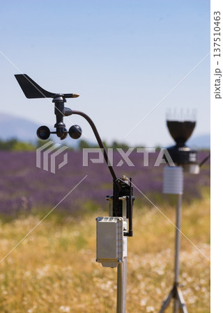 Weather station in lavender field. Weather station in lavender field. 137510463