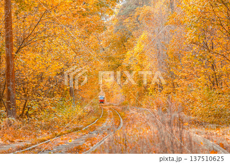 Autumn forest through which the tram travels, Kyiv and rails Autumn forest through which the tram travels, Kyiv and rails 137510625