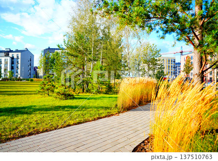 Landscape Architecture for Public Spaces. Garden Pathway. Walkway in green spaces. Landscape design. Landscape Architecture for Public Spaces. Garden Pathway. Walkway in green spaces. Landscape design. 137510763
