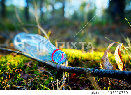 Plastic bottle thrown away in forest. Garbage in nature, reusable products. Rubbish thrown in forest 137510770