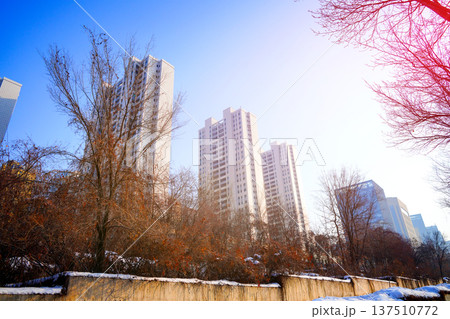 Urban landscape featuring high-rise residential buildings surrounded by trees during winter  137510772