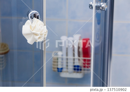 Body sponge hanging on shower glass doors 137510902