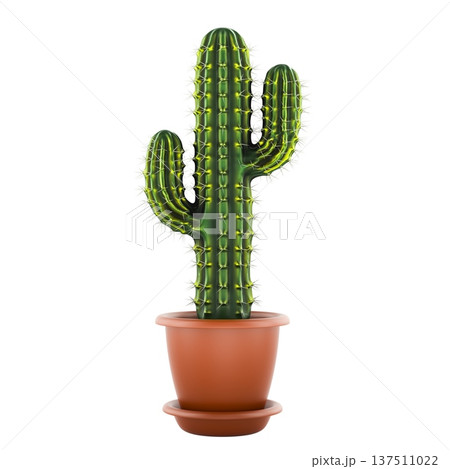Potted cactus houseplant in terracotta pot, 3d rendering Potted cactus houseplant in terracotta pot, 3d rendering 137511022