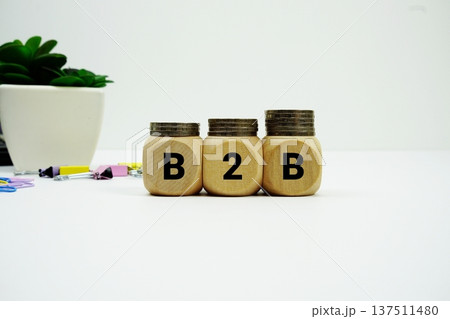 Stack of coins with wood blocks with "B2B (Business to Business)" Financial concept 137511480