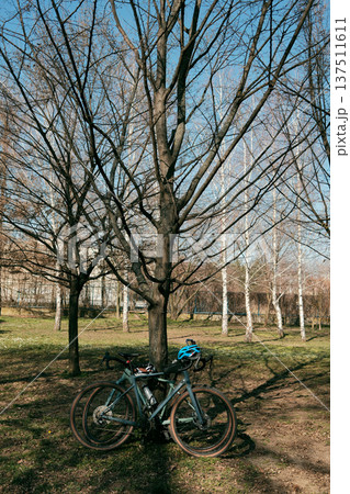 Two gravel bicycles leaning against a tree in a quiet park. Outdoor cycling and adventure concept with touring bikes resting in a natural landscape Two gravel bicycles leaning against a tree in a quiet park. Outdoor cycling and adventure concept with touring bikes resting in a natural landscape 137511611