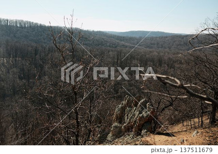 Rock formations at Orlove Stene viewpoint in Fruska Gora, Serbia overlooking a vast forest valley. Rugged terrain and clear sky highlight adventure and nature travel themes 137511679