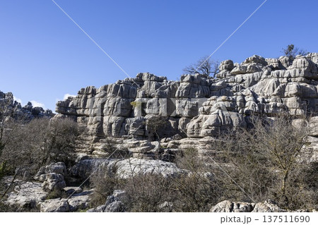 Exploring El Torcal in Spain with unique rock formations and clear blue sky 137511690