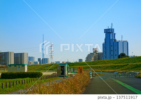 荒川の川原より東京スカイツリーを望む 137511917