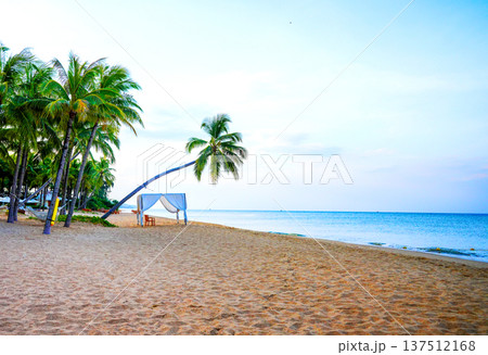 Resort beach scene with palm trees. Canopy and lounge chair at ocean. Sandy beach with palm trees Resort beach scene with palm trees. Canopy and lounge chair at ocean. Sandy beach with palm trees 137512168