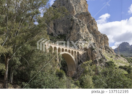 Caminito del Rey in Spain shows rocky cliffs and narrow pathways surrounded by stunning natural scenery during daylight 137512195