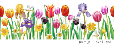 Realistic spring flowers seamless border vector pattern editable tulip iris daffodil floral elements 137512368