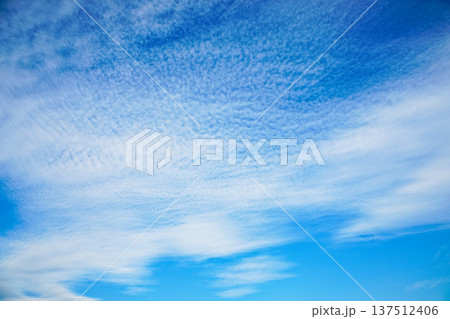 荒川の川原のうろこ雲 晩秋 荒川の川原のうろこ雲 晩秋 137512406