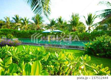 Tropical landscape resort background. Swimming pool with sun loungers with palm trees on villa. Tropical landscape resort background. Swimming pool with sun loungers with palm trees on villa. 137512444