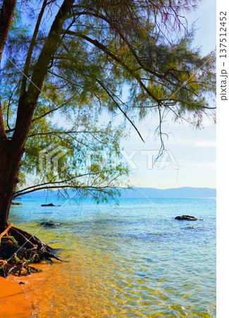 Coast with clear sea water, rocks in tropical island. Wild rocky shore at jungle Cambodia. Coast with clear sea water, rocks in tropical island. Wild rocky shore at jungle Cambodia. 137512452