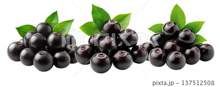 Ripe black nightshade berries with green leaves isolated on white background, concept of natural fruit and herbal medicine 137512508