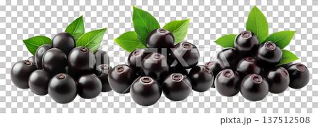 Ripe black nightshade berries with green leaves isolated on white background, concept of natural fruit and herbal medicine 137512508