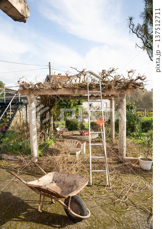 Rustic garden pergola 137512711