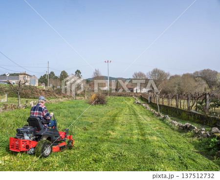 Lawn mower in the garden Lawn mower in the garden 137512732