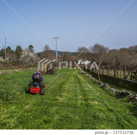 Lawn mower in the garden 137512736