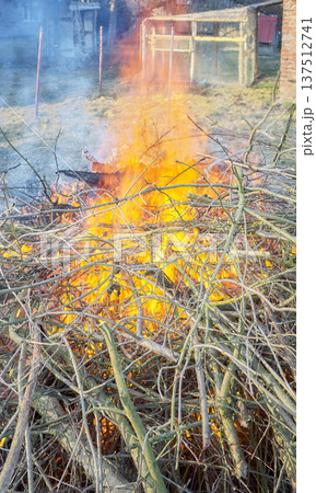 Bonfire made of wood and branches in the garden. Bonfire made of wood and branches in the garden. 137512741