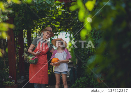 Senior female farmer with her granddaughter carrying basket with homegrown vegetables. 137512857