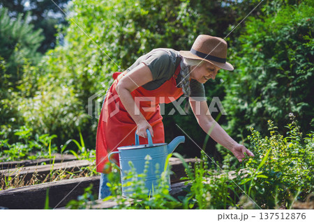 Woman watering plants in organic garden on sunny summer day. Woman watering plants in organic garden on sunny summer day. 137512876