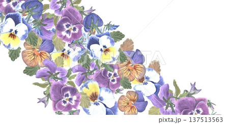 Beautiful rectangular horizontal frame with blue, maroon, orange pansies hand painted in watercolor on isolated background, simple clip art spring botanical illustration for design and decoration. 137513563