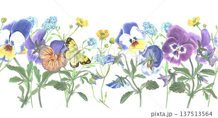 Beautiful horizontal seamless border with blue, maroon, orange pansies and butterfly hand painted in watercolor on isolated background, simple clip art spring botanical illustration for design. Beautiful horizontal seamless border with blue, maroon, orange pansies and butterfly hand painted in watercolor on isolated background, simple clip art spring botanical illustration for design. 137513564