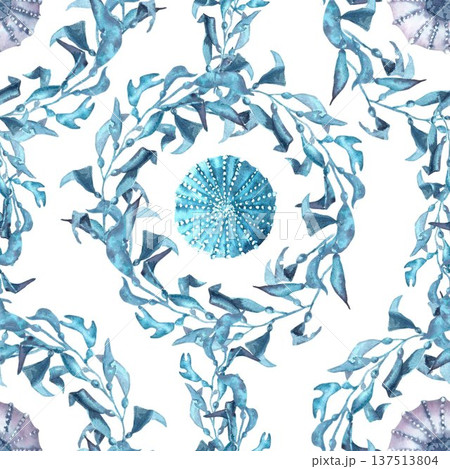 A seamless pattern with silver, purple, and blue sea urchins and wavy seaweed with leaves. Hand-drawn watercolor illustration on an isolated background. Simple marine life clip art for design. 137513804