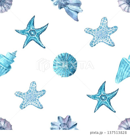 A seamless pattern with blue, pearlescent, and gray sea-stars, seashells, and bubbles. Hand-drawn in watercolor on an isolated background. Simple seabed biology clip art for designing various objects. A seamless pattern with blue, pearlescent, and gray sea-stars, seashells, and bubbles. Hand-drawn in watercolor on an isolated background. Simple seabed biology clip art for designing various objects. 137513828