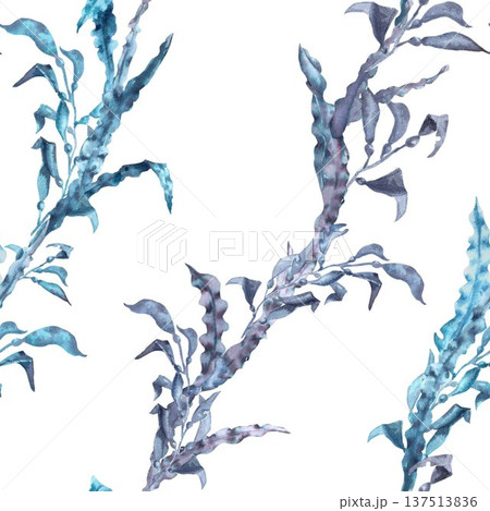 A seamless pattern with gray and blue seaweed and vertical leaves. Hand-drawn watercolor illustration on an isolated background. Sea creature clipart for textile and interior design. A seamless pattern with gray and blue seaweed and vertical leaves. Hand-drawn watercolor illustration on an isolated background. Sea creature clipart for textile and interior design. 137513836
