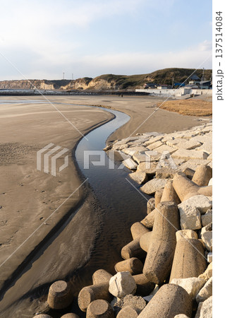砂浜を流れて海へ向かう小さな川 137514084
