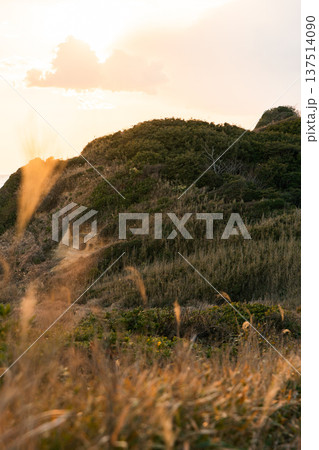 夕焼けに染まる屏風ヶ浦の丘 137514090