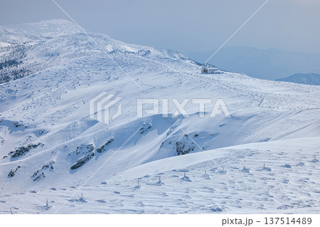 冠雪の日本百名山の蔵王山 冠雪の日本百名山の蔵王山 137514489