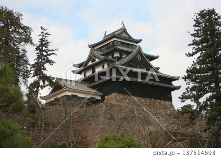 島根県松江市！国宝 現存天守の松江城 137514693