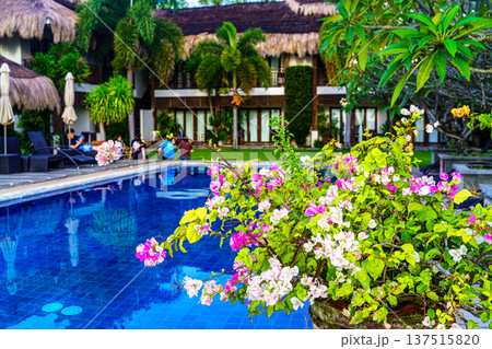 南国リゾート 137515820