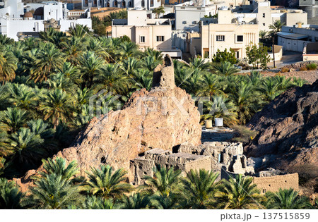 Historic mud brick ruins and an old stone watchtower nestled within a dense date palm oasis in the village of Fanja, Oman 137515859