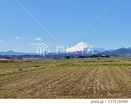富士山バックの平塚の田んぼ 富士山バックの平塚の田んぼ 137516098