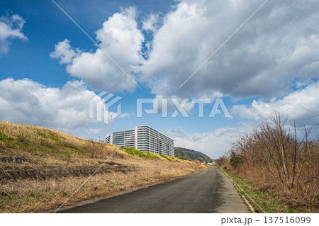 淀川右岸河川敷風景　大阪府高槻市 137516099