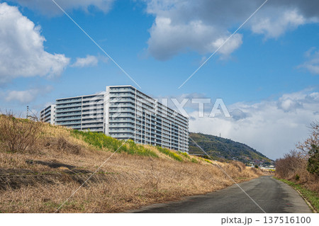 淀川右岸河川敷風景 大阪府高槻市 淀川右岸河川敷風景 大阪府高槻市 137516100