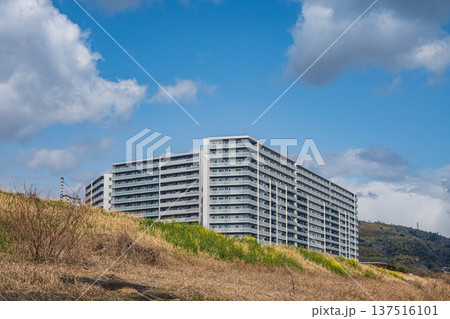 淀川右岸河川敷風景　大阪府高槻市 137516101