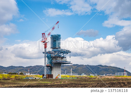 野焼き後の鵜殿ヨシ原で進む工事中の新名神高速道路　大阪府高槻市 137516118
