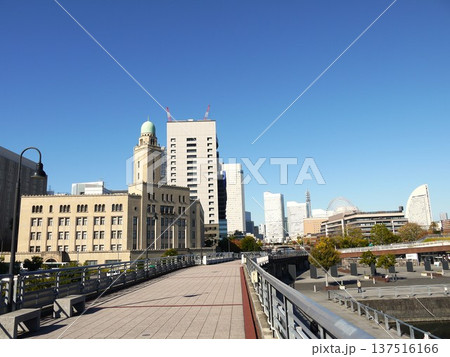 山下臨港線プロムナード 137516166