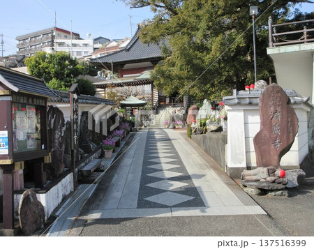 静岡県東伊豆町！かやの寺・済広寺の参道 137516399