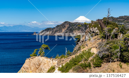 黄金先から望む駿河湾と富士山 137516427