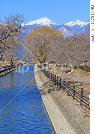 早春の安曇野　拾ヶ堰と北アルプス 137516492