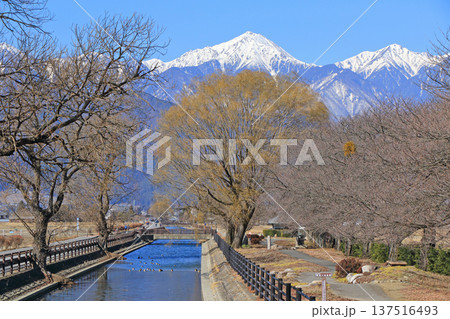 早春の安曇野 拾ヶ堰と北アルプス 早春の安曇野 拾ヶ堰と北アルプス 137516493